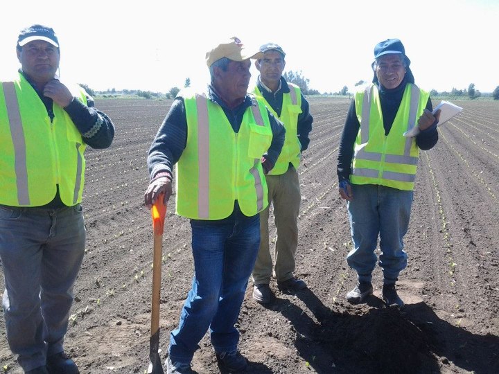 Curso Trabajadores Ancali