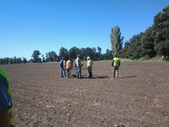 Curso Trabajadores Ancali