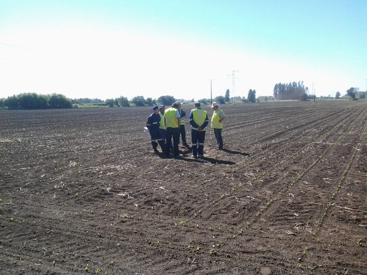 Curso Trabajadores Ancali