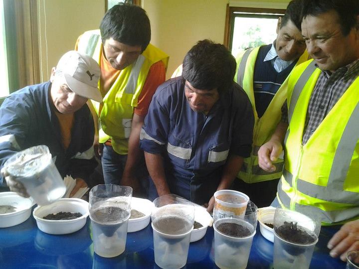 Curso Trabajadores Ancali